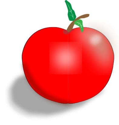 tomato graphic drawing